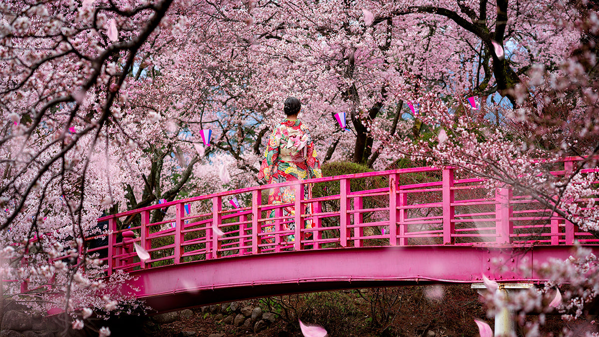 Unveiling the Cultural Significance of Flowers Around the World