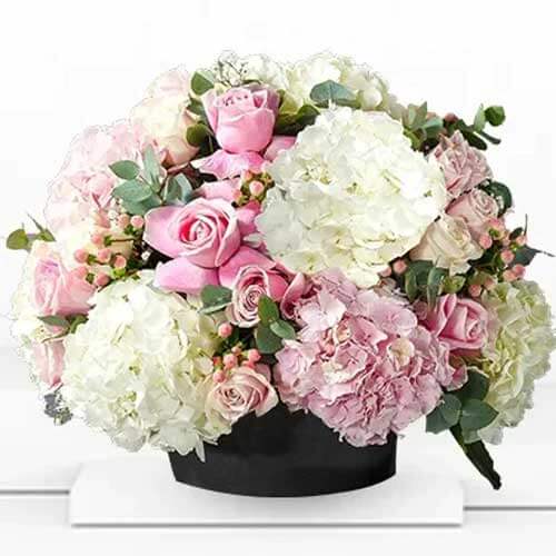 7 Stems of Pink and White Hydrangeas and 10 Stems of Pink Roses in a Black Box