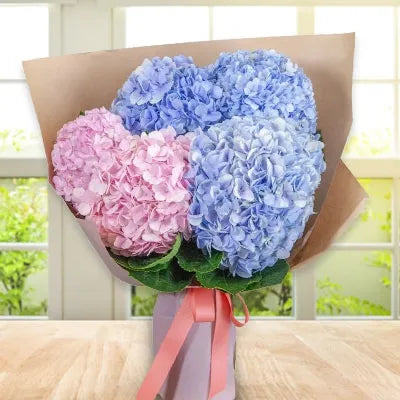 Bouquet of pink and blue hydrangeas flowers - for birthday anniversary valentine congratulations good-luck - free urgent delivery India - Delhi Mumbai Bangalore Pune Hyderabad Chennai Kolkata Ahmedabad