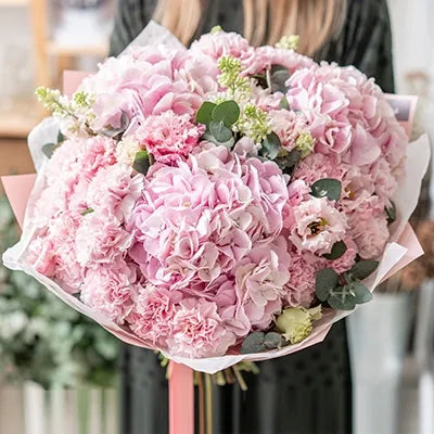 Bouquet of pink hydrangeas and carnations flowers - for birthday anniversary valentine congratulations good-luck - free urgent delivery India - Delhi Mumbai Bangalore Pune Hyderabad Chennai Kolkata Ahmedabad