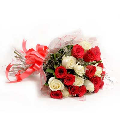 Bouquet of 25 red and white rose flowers with white fillers in a Nice Wrapping - for birthday anniversary valentine congratulations good-luck - free urgent delivery India - Delhi Mumbai Bangalore Pune Hyderabad Chennai Kolkata Ahmedabad