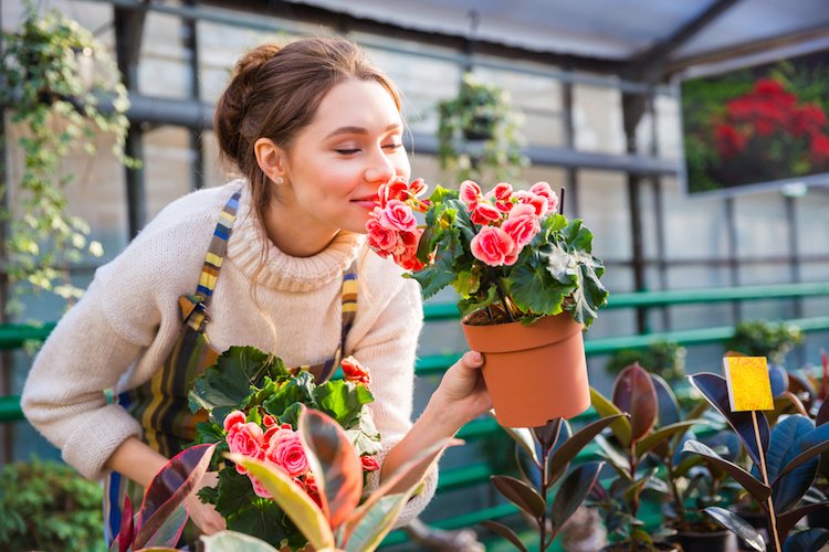 Why Flowers Make the Best Gifts: Psychological Benefits and Emotional Impact
