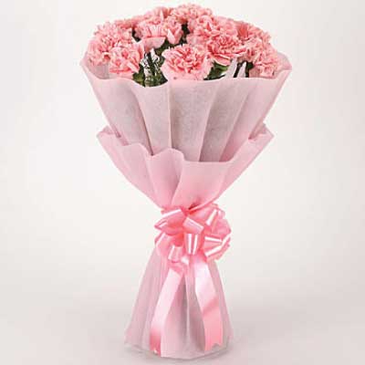Pretty Pink Carnations in Paper Wrapping