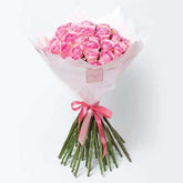Pretty Pink Roses in White Wrapping