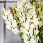 Fragrant Flowers Subscription