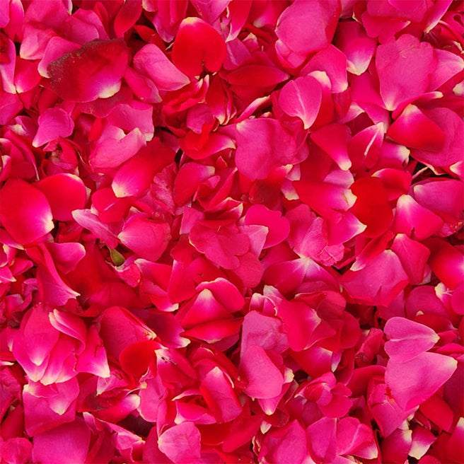 Rose Petals Subscription