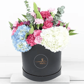 Blue and White Hydrangeas with Pink Carnations and a White Lily Arranged in a Box