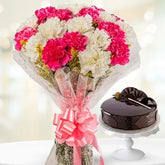 Bouquet of 20 pink and white carnations with a 500 gm chocolate cake - for birthday anniversary valentine congratulations good-luck - free urgent delivery India - Delhi Mumbai Bangalore Pune Hyderabad Chennai Kolkata Ahmedabad