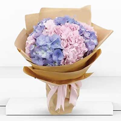 Bouquet of pink and blue hydrangeas flowers - for birthday anniversary valentine congratulations good-luck - free urgent delivery India - Delhi Mumbai Bangalore Pune Hyderabad Chennai Kolkata Ahmedabad