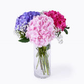 Bouquet of Red Blue and Pink Hydrangeas in glass vase - for online delivery for your love - birthday anniversary congratulations good-luck - free urgent delivery India - Delhi Mumbai Bangalore Pune Hyderabad Chennai Kolkata Ahmedabad NOIDA Gurugram