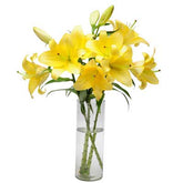 Bouquet of 10 Asiatic Yellow Lilies in glass vase - for online delivery for your love - birthday anniversary congratulations good-luck - free urgent delivery India - Delhi Mumbai Bangalore Pune Hyderabad Chennai Kolkata Ahmedabad NOIDA Gurugram