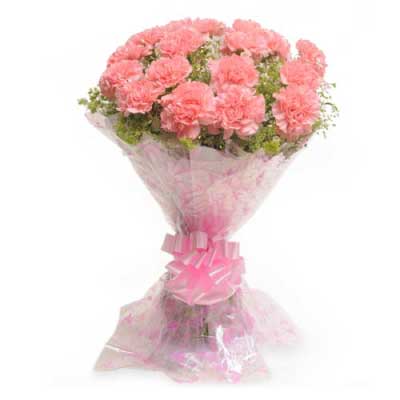 Bouquet of 15 pink carnation flowers with white fillers - for birthday anniversary valentine congratulations good-luck - free urgent delivery India - Delhi Mumbai Bangalore Pune Hyderabad Chennai Kolkata Ahmedabad