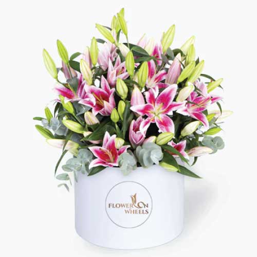 Luxury gift box of pink lilies flowers - for birthday anniversary valentine - free urgent delivery India - Delhi Mumbai Bangalore Pune Hyderabad Chennai Kolkata Ahmedabad