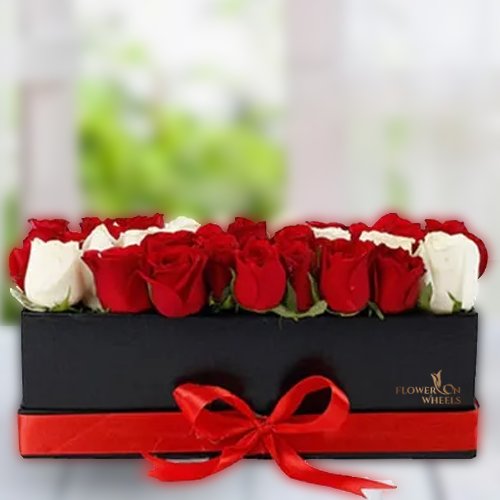 Luxury gift box of red and white roses flowers - for birthday anniversary valentine - free urgent delivery India - Delhi Mumbai Bangalore Pune Hyderabad Chennai Kolkata Ahmedabad