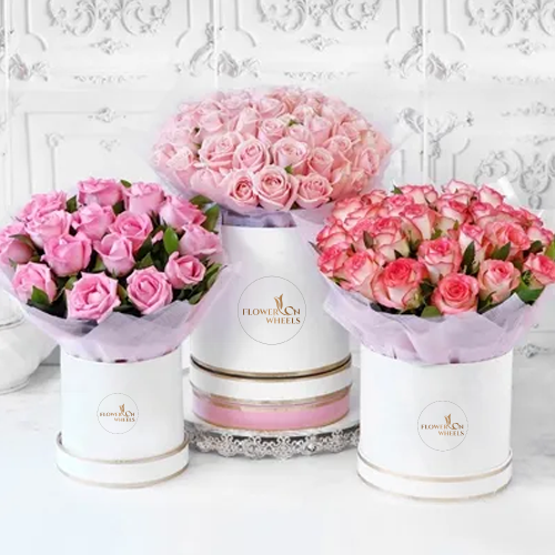 Luxury Gift Boxes of Pink Roses in Different Hues - for online delivery for your love - birthday anniversary congratulations good-luck - free urgent delivery India - Delhi Mumbai Bangalore Pune Hyderabad Chennai Kolkata Ahmedabad NOIDA Gurugram