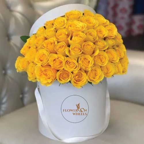 Exotic Yellow Roses. Luxurious White Box Packaging. Order Now for Urgent  Delivery